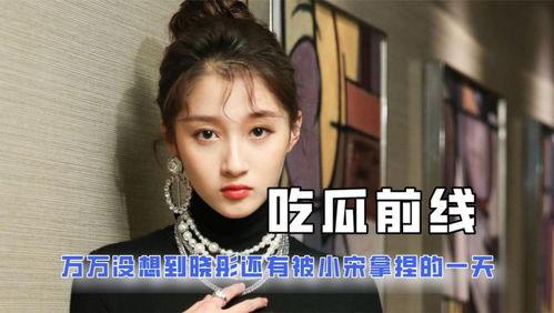 吃瓜娱乐圈类小说,瓜田里的明星秘闻